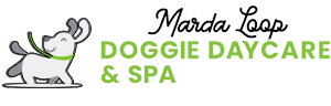 Marda Loop Doggie Daycare & Spa